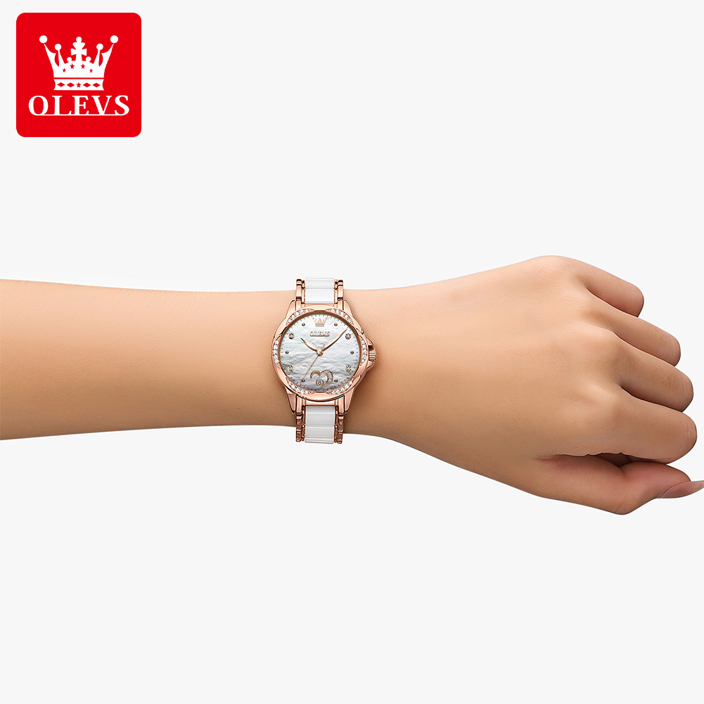 OLEVS 6631 Automatic Mechanica - đánh giá và giá Watch Bezel Insert